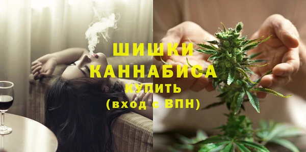 тгк Гусев