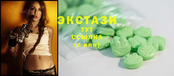 тгк Гусев