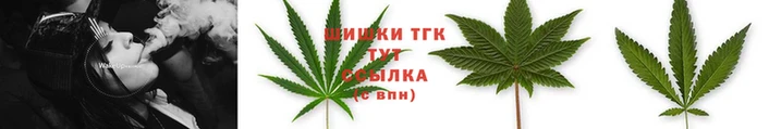 Альфа ПВП Дмитров