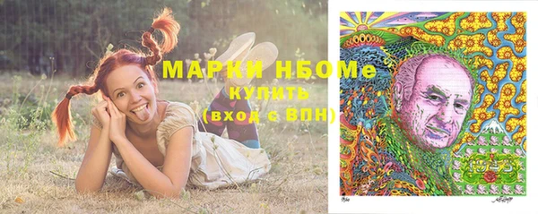 PSILOCYBIN Гусь-Хрустальный