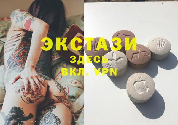 тгк Гусев