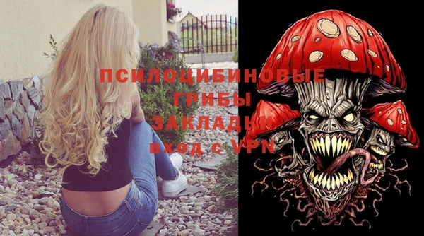 тгк Гусев